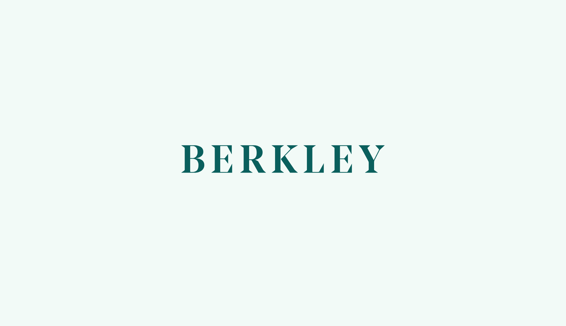 Berkley Care Group Branding - Baz Jobson