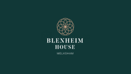 Blenheim House Care Home Logo Design